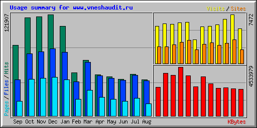Usage summary for www.vneshaudit.ru